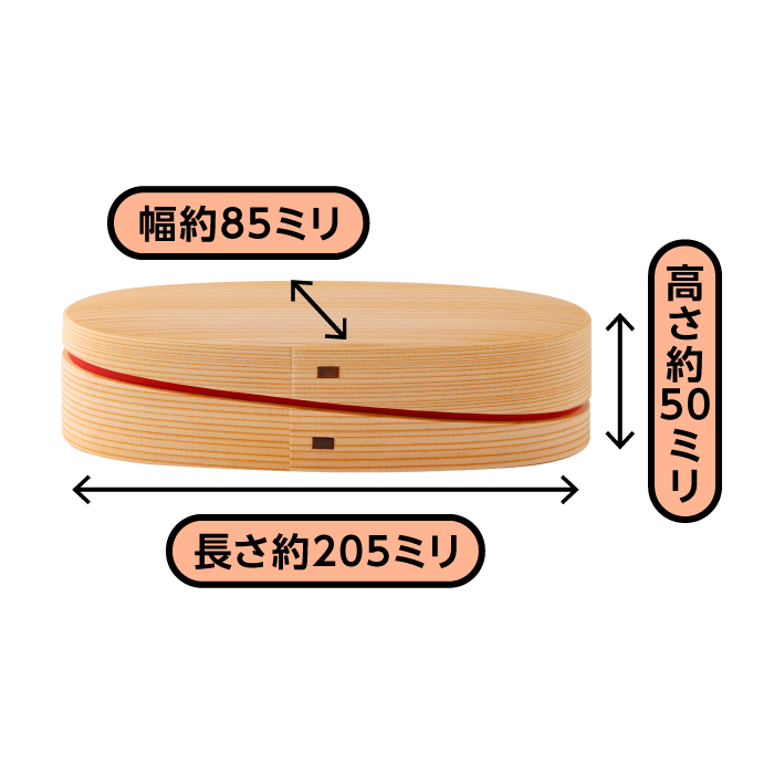 軌(MICHI)