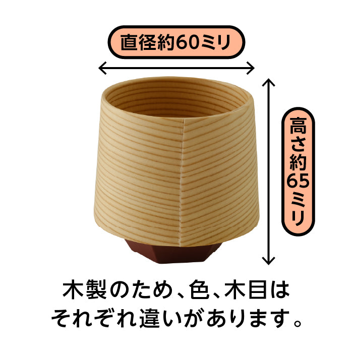 酒杯　六（マルーン）